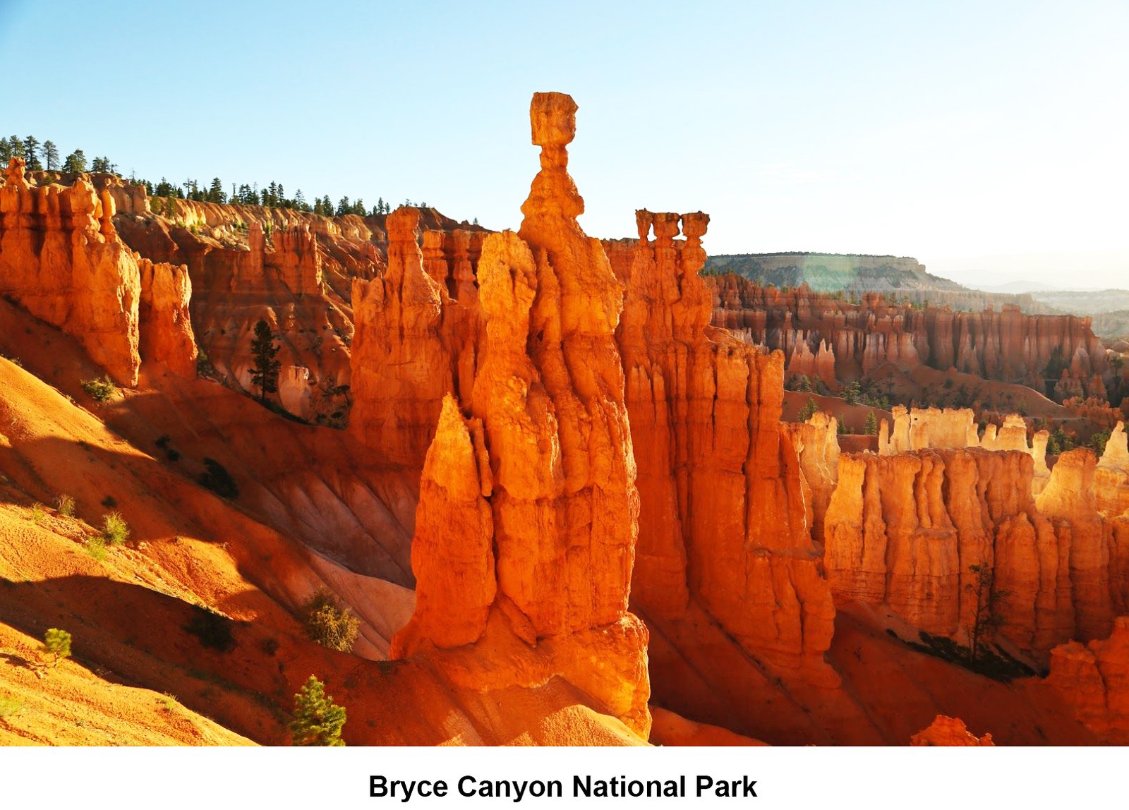 Bryce National Park