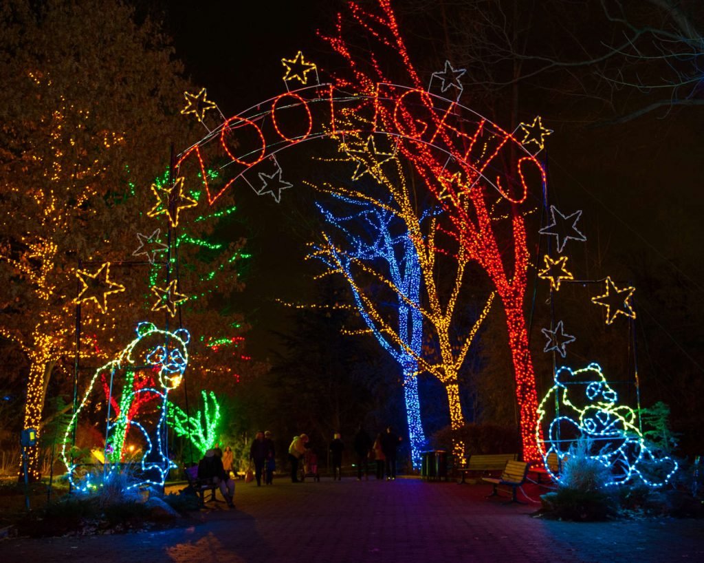 Zoo Lights